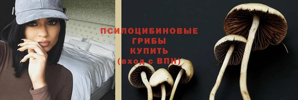 МДПВ Бугульма