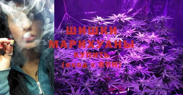 МДПВ Бугульма